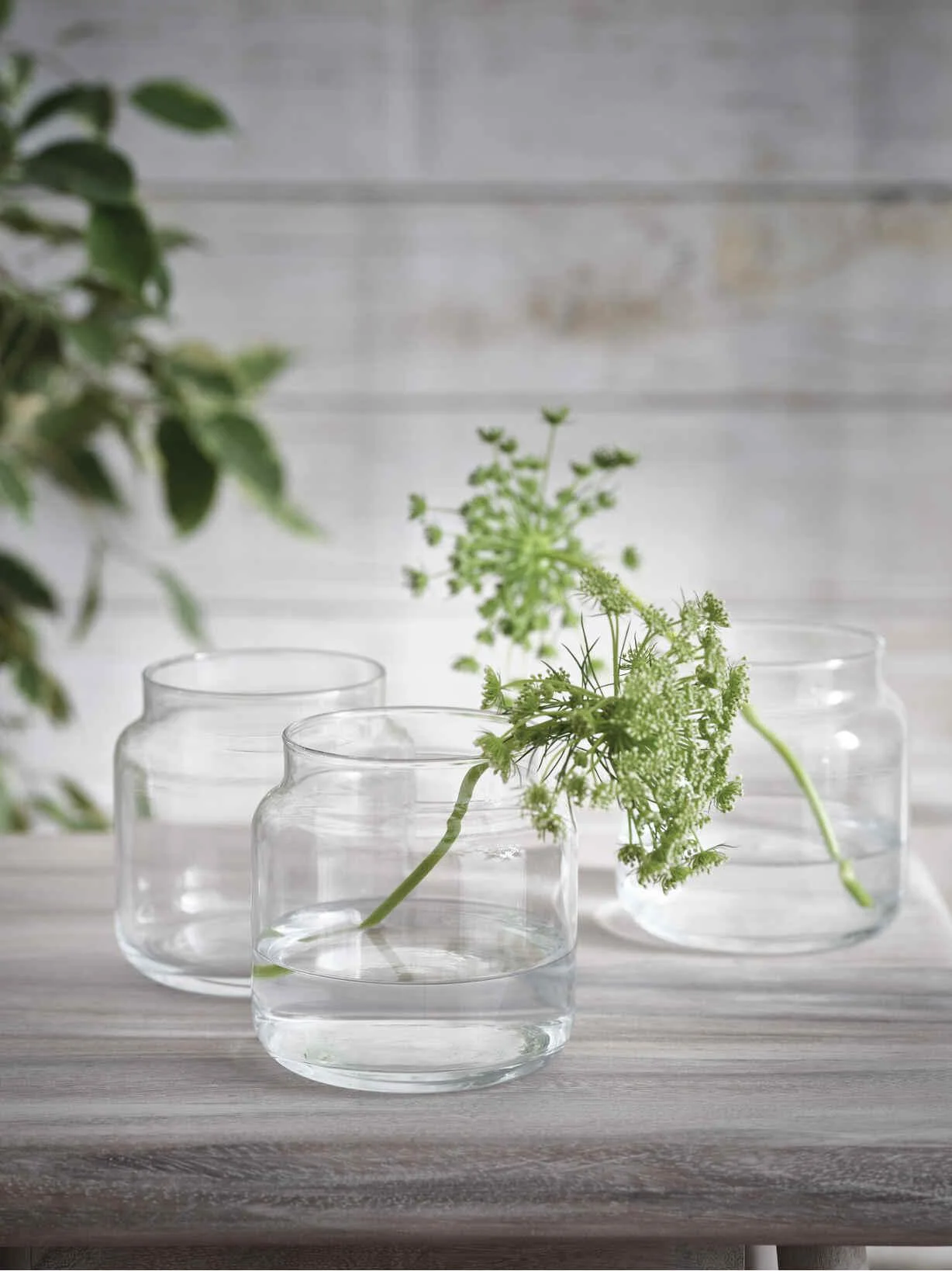 Wholesaleglassvasesint 9 Wholesaleglassvasesint -Wholesaleglassvasesint 84130