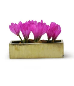 CBR1444GX - Textured Gold Long Flat Rectangle - 14"x4"x4" -Wholesaleglassvasesint CBR1444GX C1 98533.1686167015