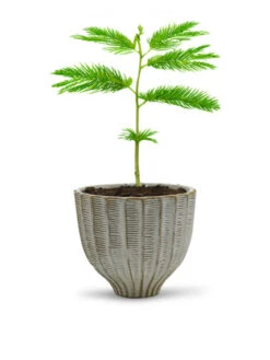 CUB8506WT - Large Fancy White Acorn Ceramic Vase - 6.5" H -Wholesaleglassvasesint CUB8506WT C2 39729.1695830033