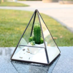 GET0207BK - Black Pyramid Geometric Glass Terrarium. 7.5"H - -Wholesaleglassvasesint GET0207BK C1 39075.1663941563
