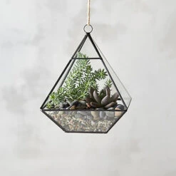 GET0308BK - Black Raised Pyramid Geometric Glass Terrarium - 8"H -Wholesaleglassvasesint GET0308BK C4 93046.1686250643