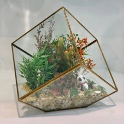 GET0408GD - Big Gold Tilted Cube Geometric Glass Terrarium - 12" -Wholesaleglassvasesint GET0408GD C2 87471 84468 81313.1657123847