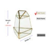 GET2006GD - Short Triangular Gold Obelisk Geometric Glass Terrarium 6"H -