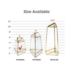 GET2006GD - Short Triangular Gold Obelisk Geometric Glass Terrarium 6"H - -Wholesaleglassvasesint GET2006GD B2 76238 16934 40966.1657123873
