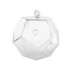 GET8003 - Dodecahedron Frameless Geometric Glass Terrarium - 4.72" H 1 GET8003 - Dodecahedron Frameless Geometric Glass Terrarium - 4.72" H -Wholesaleglassvasesint GET8003 A1 98728 54852 65544.1657123879