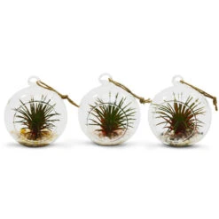 HCH01025 - Hanging Round Terrarium / Candle Holder - 2.5" (72 Pcs) -Wholesaleglassvasesint HCH01025 C1 55879.1666121830