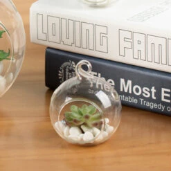 HCH01025 - Hanging Round Terrarium / Candle Holder - 2.5" (72 Pcs) -Wholesaleglassvasesint HCH01025 C2 63190.1666121830