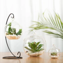 HCH01025 - Hanging Round Terrarium / Candle Holder - 2.5" (72 Pcs) -Wholesaleglassvasesint HCH01025 C4 76000.1666121830