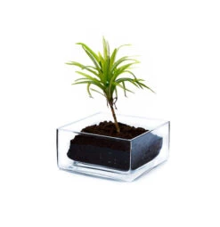 VBV0804 - Square Glass Block Vase - 8" X 4" -Wholesaleglassvasesint VBV0804 C3 20656.1686761325