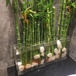 VBV2810 - Rectangular Glass Block Vase - 2" X 8" X 10" -Wholesaleglassvasesint VBV2810 C3 47852 71769 22601.1657129919