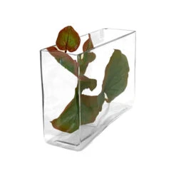 VBV3107 - Rectangular Glass Block Vase - 3" X 10" X 7" -Wholesaleglassvasesint VBV3107 C2 38056 43746 54539.1664557790