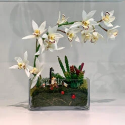 VBV4408 - Rectangular Glass Planter Box Vase - 4" X 4" X 8" -Wholesaleglassvasesint VBV4408 C2 16153 86770 66319.1665701275