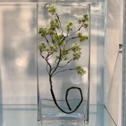 VBV8318 - Rectangular Glass Block Vase - 8" X 3" X 18" -Wholesaleglassvasesint VBV8318 C1 41379 62072 65592.1669059942