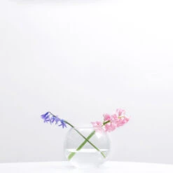 VBW0006 - Clear Bubble Bowl Glass Vase - 6" -Wholesaleglassvasesint VBW0006 C2 68928.1664557882