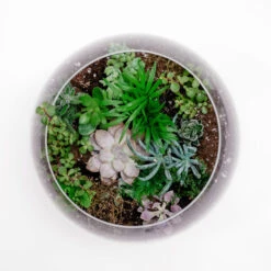 VBW0010 - Clear Bubble Bowl Glass Vase - 10" -Wholesaleglassvasesint VBW0010 C1 12757.1664556854