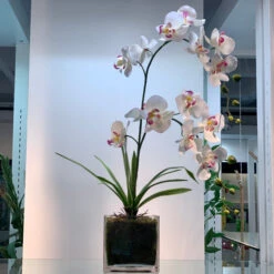 VCB0005 - Handblown Clear Cube Glass Vase / Candle Holder - 5" -Wholesaleglassvasesint VCB0005 C1 AS 20350.1692212569