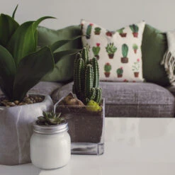 VCB0005 - Handblown Clear Cube Glass Vase / Candle Holder - 5" -Wholesaleglassvasesint VCB0005 C1 22928.1692212569