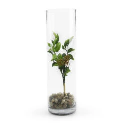 VCY0414 - Cylinder Glass Vase - 4" X 14" -Wholesaleglassvasesint VCY0414 C1 13302 67628 26666.1657124793