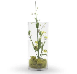 VCY0612 - Clear Cylinder Glass Vase - 6" X 12" 10 VCY0612 - Clear Cylinder Glass Vase - 6" X 12" -Wholesaleglassvasesint VCY0612 C1 42340 67485 00639.1669668053
