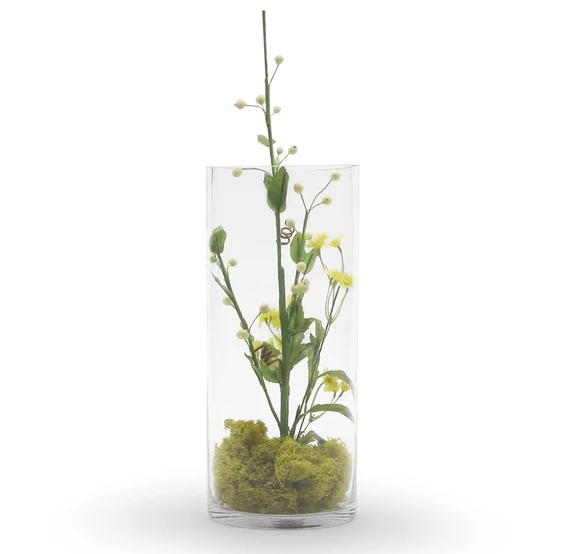 VCY0612 - Clear Cylinder Glass Vase - 6" X 12" 5 VCY0612 - Clear Cylinder Glass Vase - 6" X 12" - Image 3
