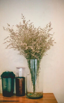 VCY0612 - Clear Cylinder Glass Vase - 6" X 12" 13 VCY0612 - Clear Cylinder Glass Vase - 6" X 12" -Wholesaleglassvasesint VCY0612 C2 48470 28253 18882.1682021009