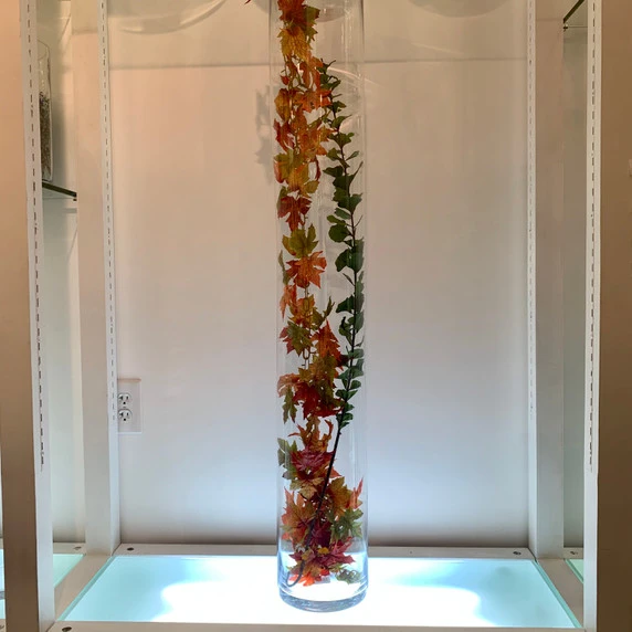 VCY0747 - Cylinder Glass Vase - 7" X 47" 5 VCY0747 - Cylinder Glass Vase - 7" X 47" - Image 3