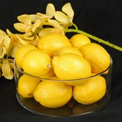 VCY0804 - Cylinder Glass Vase - 8" X 4" 12 VCY0804 - Cylinder Glass Vase - 8" X 4" -Wholesaleglassvasesint VCY0804 C2 59719 55868 78082.1691697281