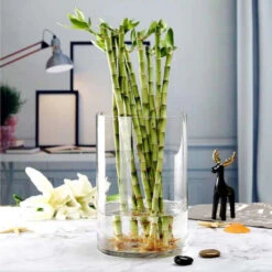 VCY0810 - Cylinder Glass Vase - 8" X 10" -Wholesaleglassvasesint VCY0810 C1 71658 98630 53300.1686760449