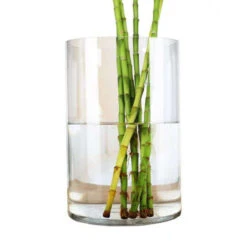 VCY0912 - Clear Cylinder Glass Vase - 9" X 12" -Wholesaleglassvasesint VCY0912 C4 09784 19445 92995.1691703853