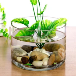 VCY1010 - Clear Cylinder Glass Vase - 10" X 10" -Wholesaleglassvasesint VCY1008 C3 32473 46216 89378.1669058672