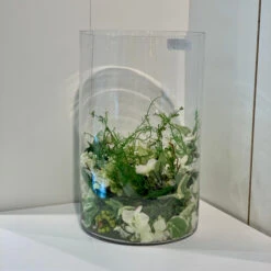 VCY1016 - Clear Cylinder Glass Vase - 10" X 16" -Wholesaleglassvasesint VCY1016 C1 95711 19598 59821.1669058722