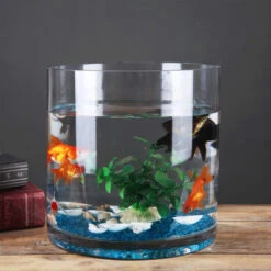 VCY1212 - Clear Cylinder Glass Vase - 12" X 12" 13 VCY1212 - Clear Cylinder Glass Vase - 12" X 12" -Wholesaleglassvasesint VCY1212 C2 09922 15703 61703.1691786662