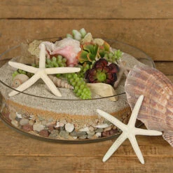 VCY1504 - Large Wide Pan Cylinder Glass Vase - 15" X 4" (1 Pc) -Wholesaleglassvasesint VCY1504 C3 81224 44002 85294.1686587412