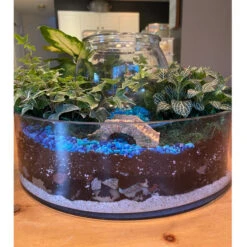 VCY1504 - Large Wide Pan Cylinder Glass Vase - 15" X 4" (1 Pc) -Wholesaleglassvasesint VCY1504 C4 13453 32066 57866.1686587412