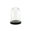 VDM1116WB - Medium Glass Dome Cloche With Black Wood Base - 16"