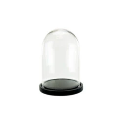 VDM1116WB - Medium Glass Dome Cloche With Black Wood Base - 16"