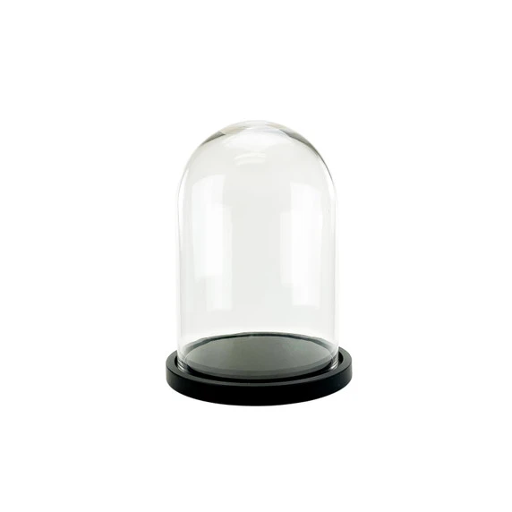 VDM1116WB - Medium Glass Dome Cloche With Black Wood Base - 16" 3 VDM1116WB - Medium Glass Dome Cloche With Black Wood Base - 16"