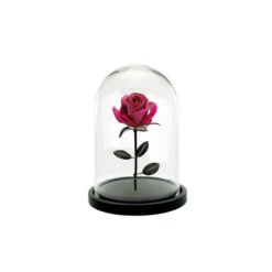 VDM1116WB - Medium Glass Dome Cloche With Black Wood Base - 16" 8 VDM1116WB - Medium Glass Dome Cloche With Black Wood Base - 16" -Wholesaleglassvasesint VDM1116WB C1 93456.1693255160