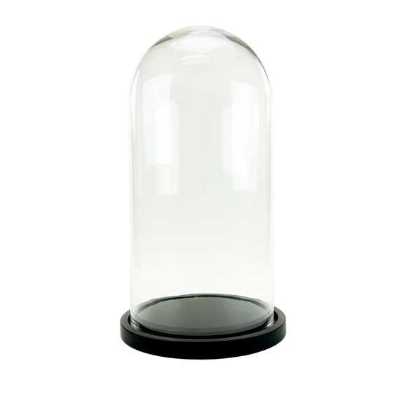 VDM1121WB - Large Glass Dome Cloche With Black Wood Base - 21" 3 VDM1121WB - Large Glass Dome Cloche With Black Wood Base - 21"
