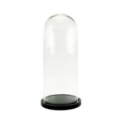 VDM1125WB - XL Glass Dome Cloche With Black Wood Base - 25"