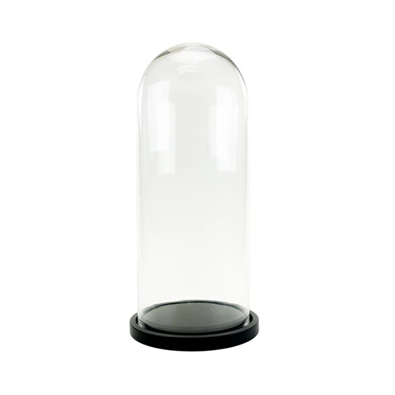 VDM1125WB - XL Glass Dome Cloche With Black Wood Base - 25" 3 VDM1125WB - XL Glass Dome Cloche With Black Wood Base - 25"