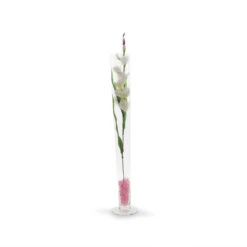 VTV0432 - Pilsner Glass Trumpet Vase - 32" -Wholesaleglassvasesint VTV0432 C1 60438.1692981612
