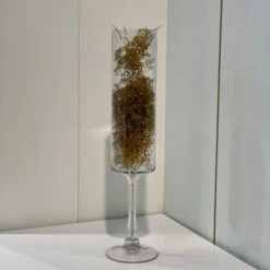 VWV0520 - Stemmed Pillar Vase - 20" 10 VWV0520 - Stemmed Pillar Vase - 20" -Wholesaleglassvasesint VWV0520 C1 66320 13901 17642.1664557162